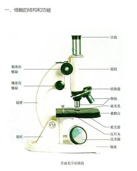 高中生物學基礎圖像考點與生物基材料技術研發(fā)