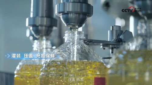 央視網(wǎng)走進多力安心工廠 探尋降低油煙技術專利與生物基材料研發(fā)的奧秘