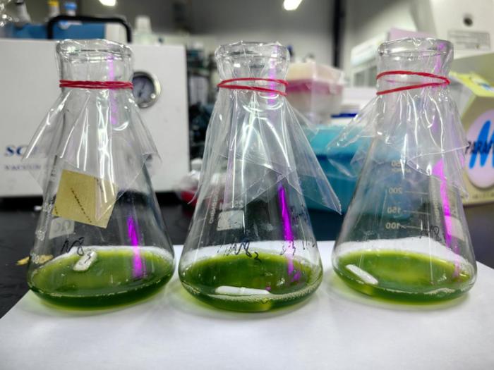 紹興上虞 科技創(chuàng)新驅(qū)動(dòng)，秸稈變身高價(jià)值新材料，譜寫綠色經(jīng)濟(jì)新篇章